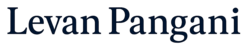 levanpangani.dsl.ge